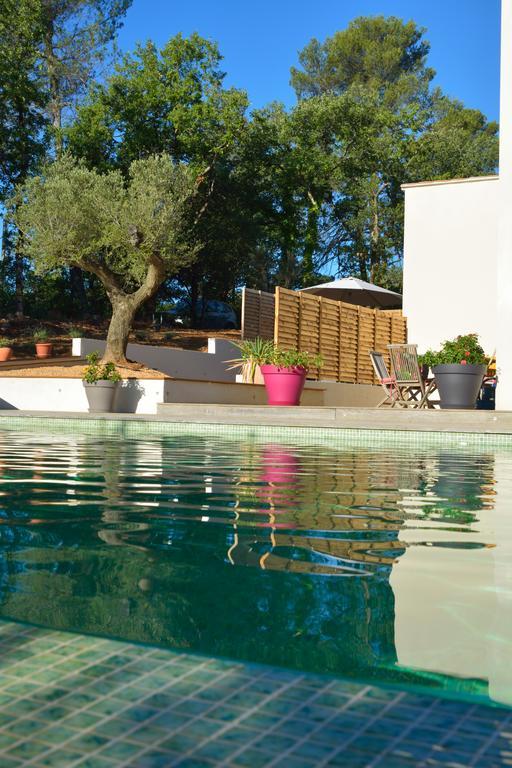 Sous Les Oliviers - Jacuzzi - De Standing Tout-equipes Saint-Maximin