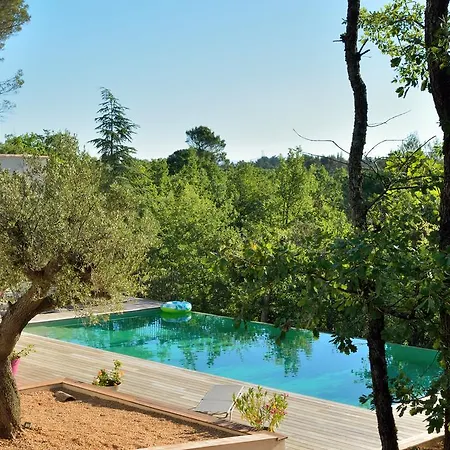 Sous Les Oliviers - Jacuzzi - Studios De Standing Tout-Equipes Saint-Maximin Exterior foto