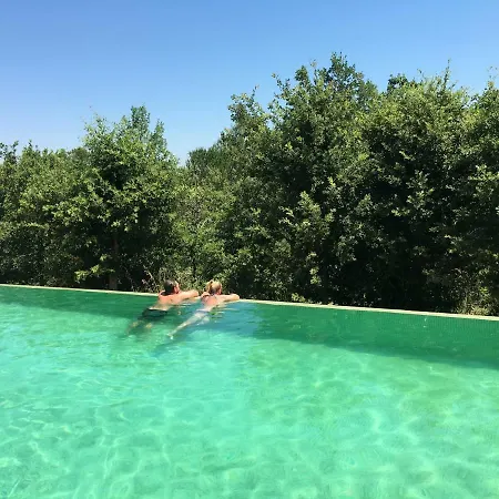 Sous Les Oliviers - Jacuzzi - Studios De Standing Tout-Equipes Saint-Maximin Exterior foto