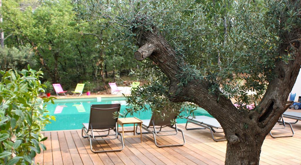 Sous Les Oliviers - Jacuzzi - De Standing Tout-equipes 5* Saint-Maximin-la-Sainte-Baume