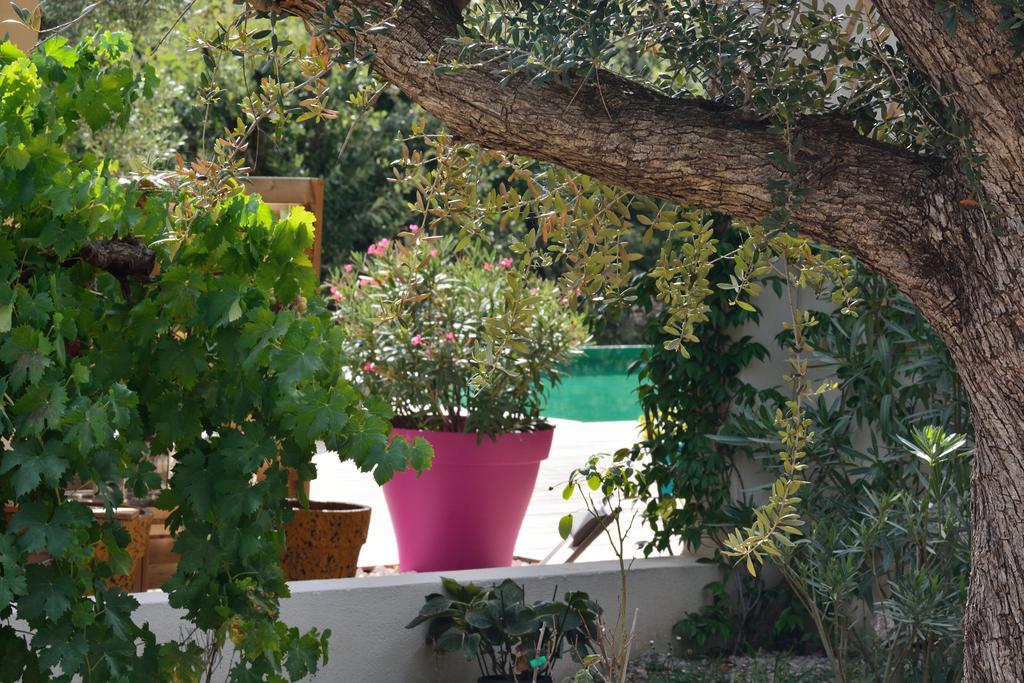 Sous Les Oliviers - Jacuzzi - De Standing Tout-equipes Bed & Breakfast