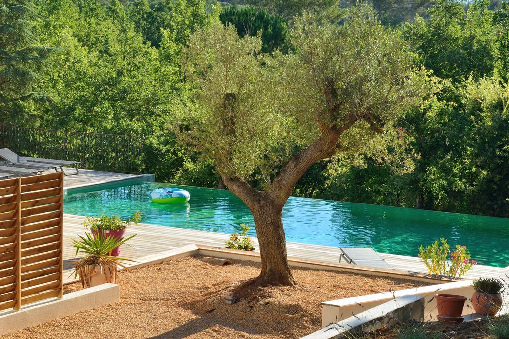Sous Les Oliviers - Jacuzzi - De Standing Tout-equipes Bed & Breakfast Saint-Maximin-la-Sainte-Baume
